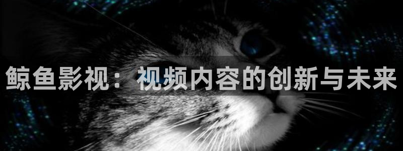 88影视网电视剧大全：鲸鱼影视：视频内容的创新与未来