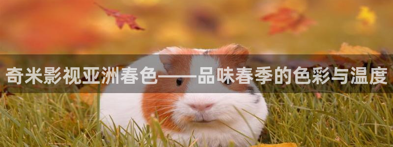 88影视电影电视剧大全：奇米影视亚洲春色——品味春季的色彩与温度