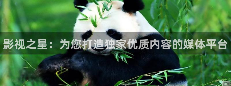 88影视网免费：影视之星：为您打造独家优质内容的媒体平台
