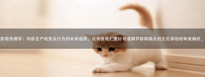 88影视资源网：影视传播学：内容生产和受众行为的未来趋势，这将使我们更好地理解并影响观众的文化体验和审美偏好。